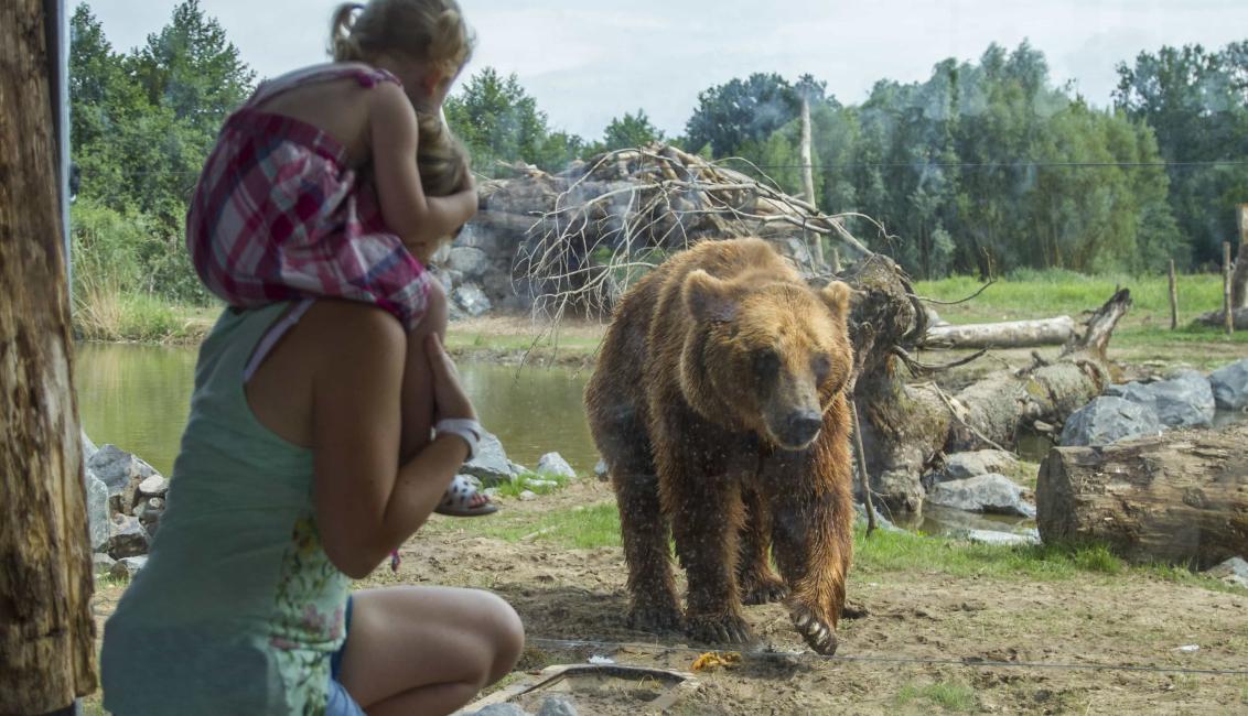 Parc Animalier de Sainte-Croix