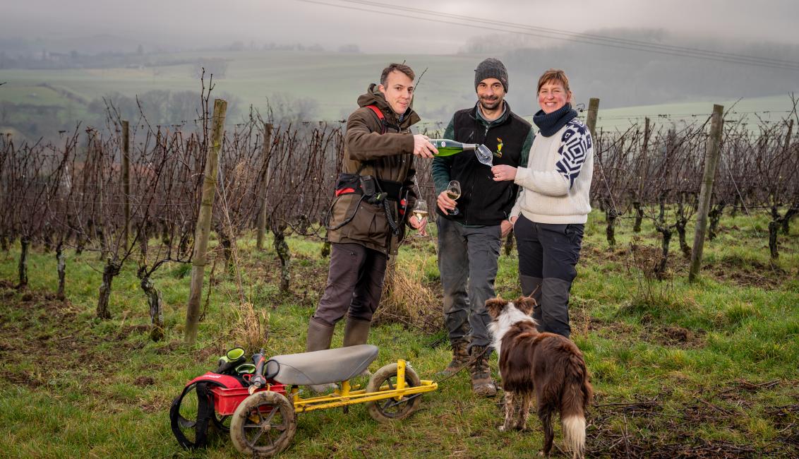 domaine oury-schreiber