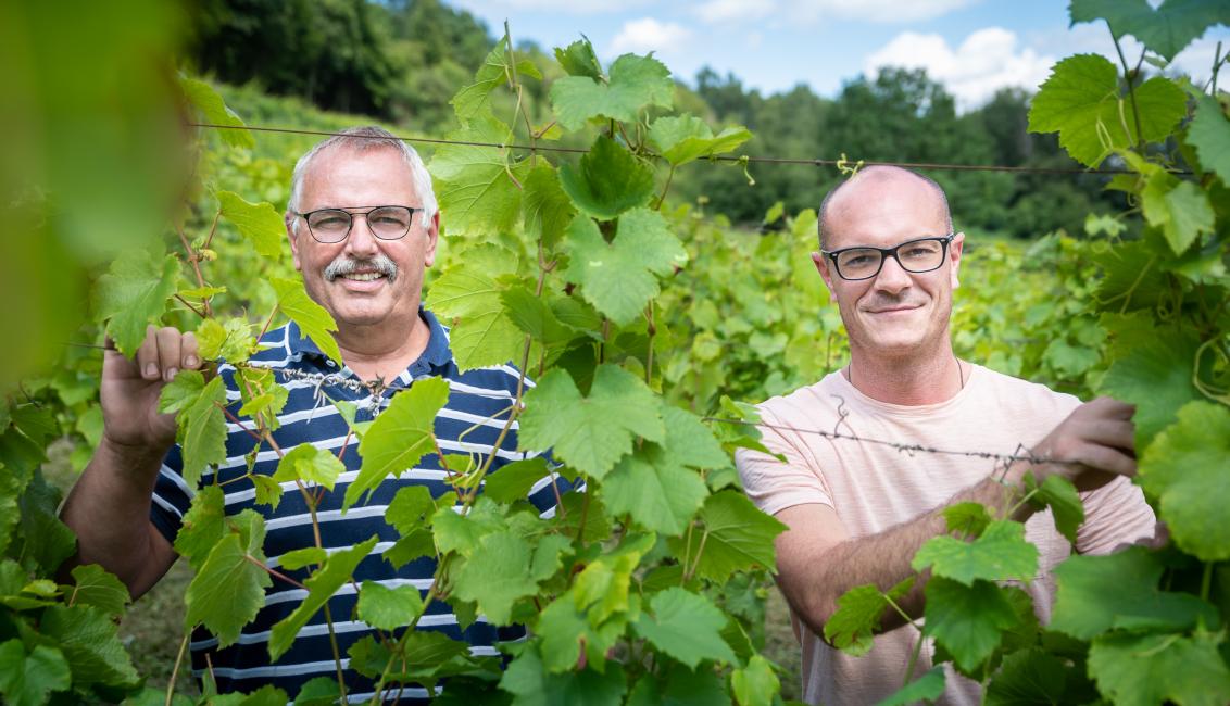 domaine de la croix de mission