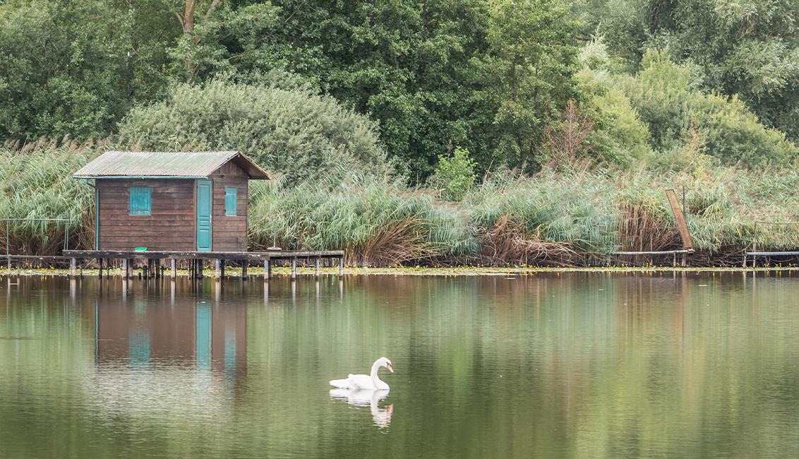 Etang de Hoste Bas - Romain Krebs