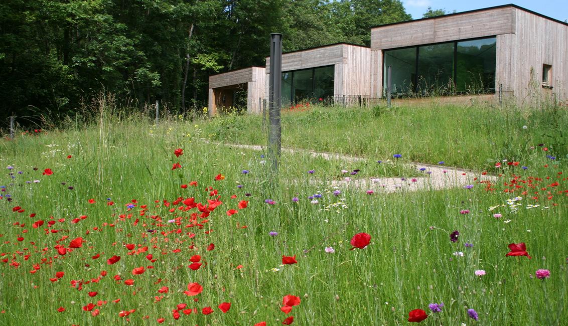 Maison de la Nature A Jolas