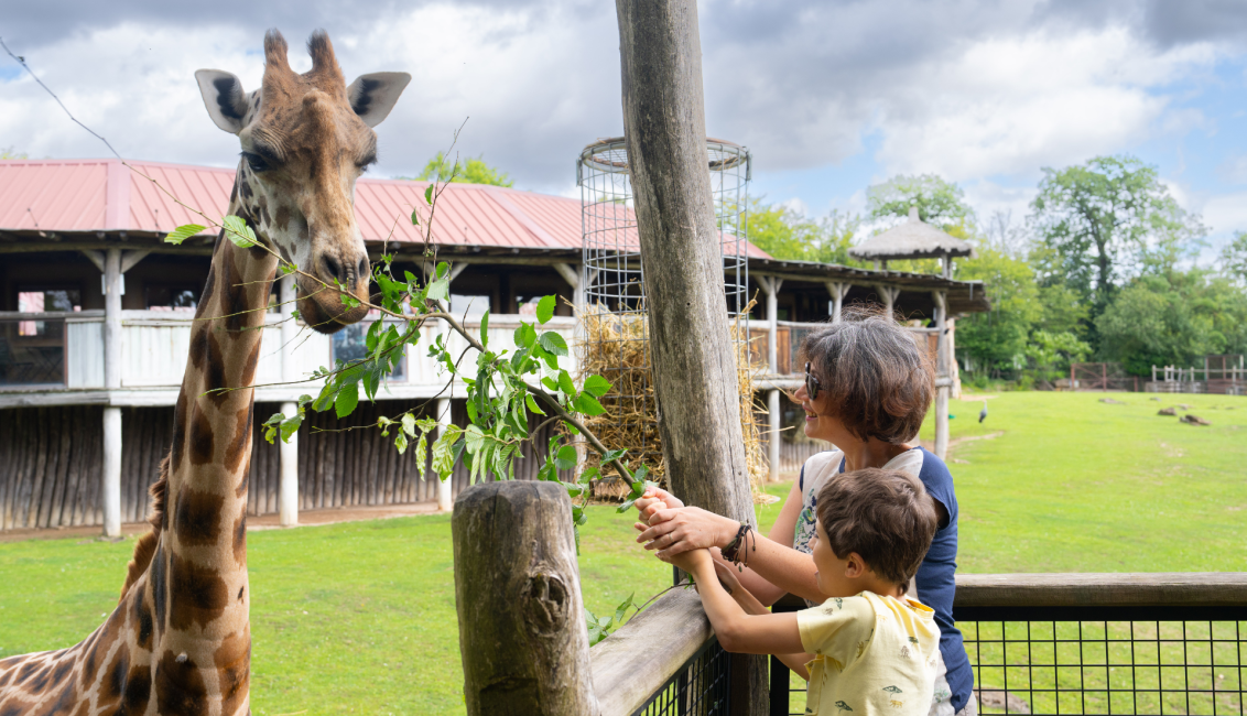 Zoo d'Amnéville