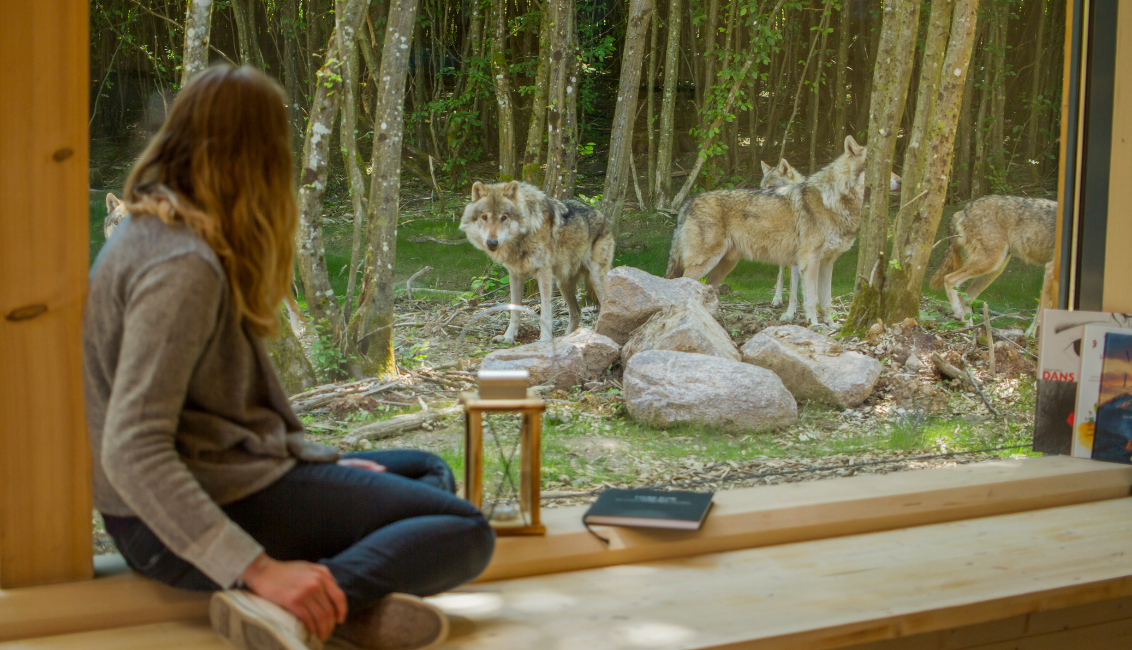 Parc animalier de Sainte-Croix