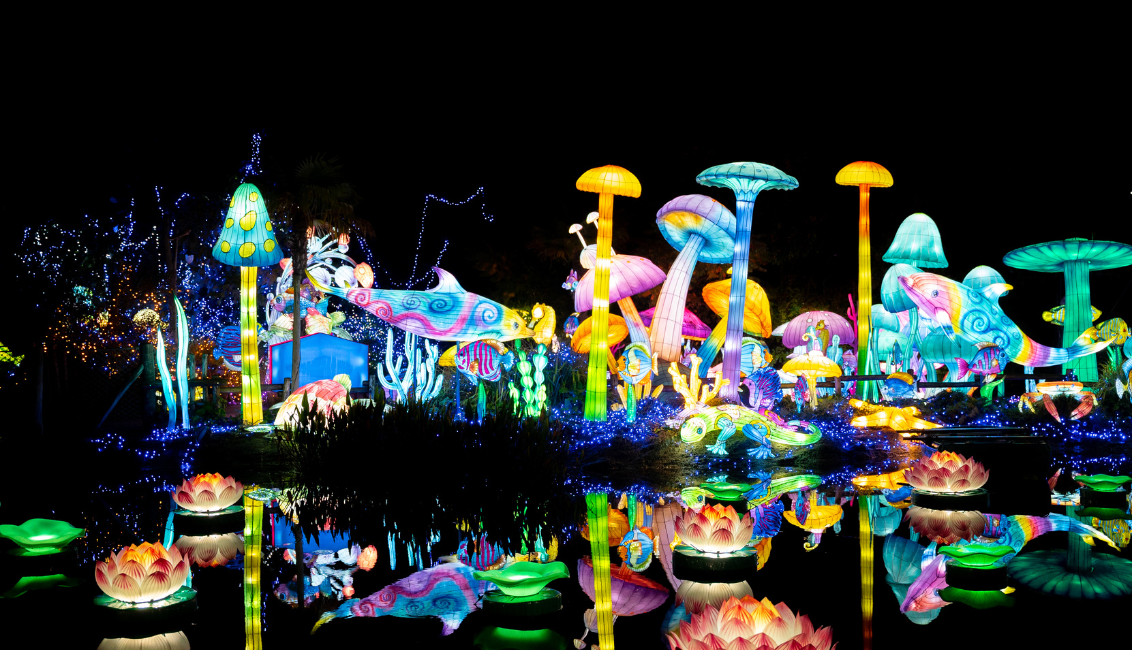 Luminescences 2024