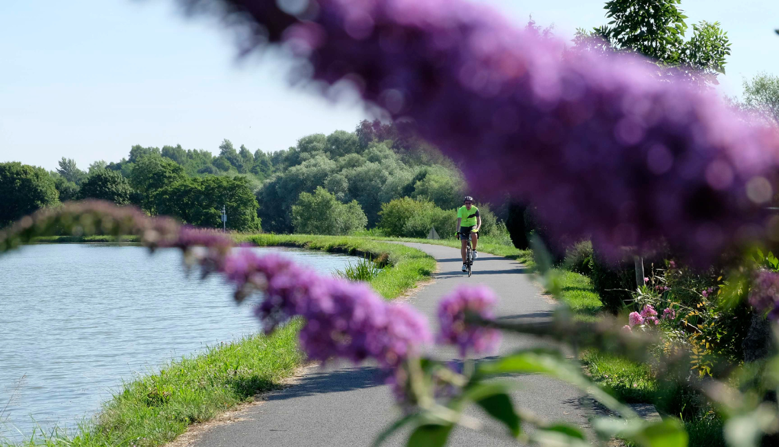 Eurovélo 5 à Sarreguemines