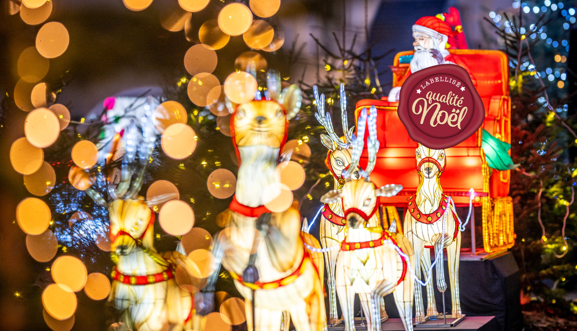noel à sarrebourg