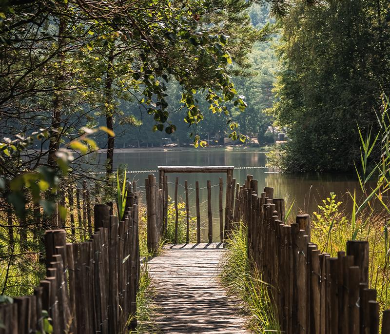 Etang de Hanau/Philippsbourg-Romain Krebs