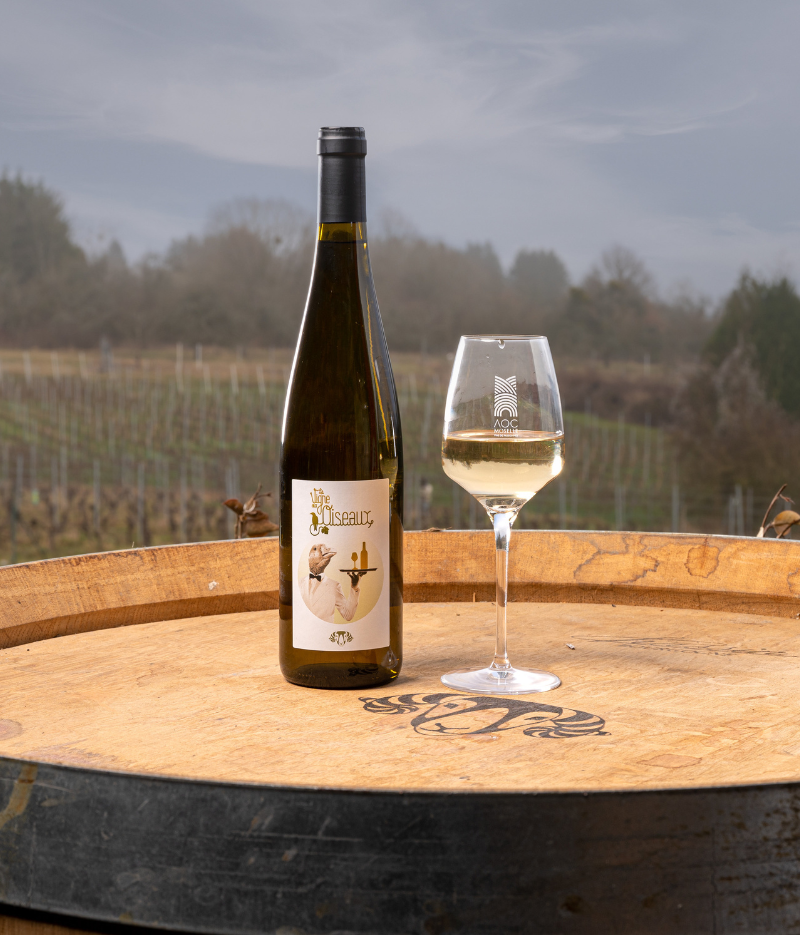 Domaine les béliers