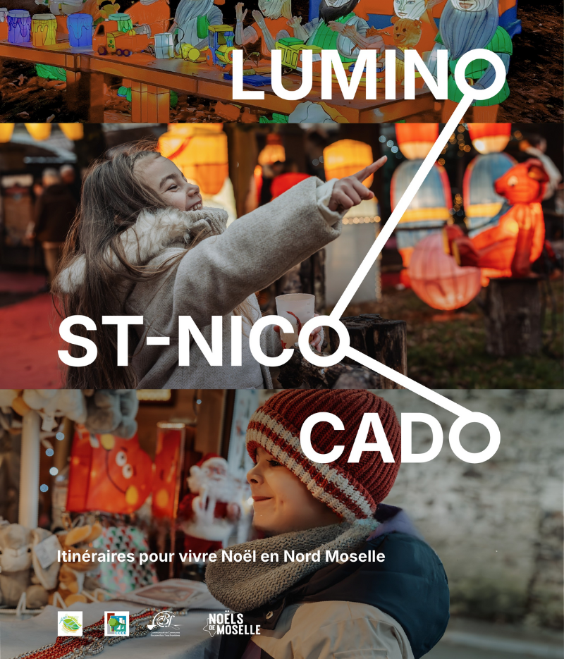 affiche campagne nord moselle