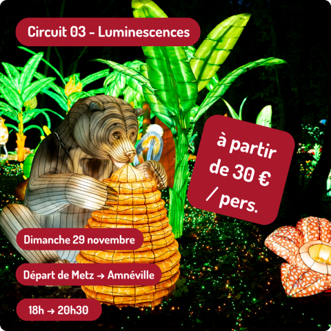Luminescences 2024
